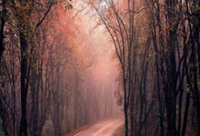 2007年欧洲冠军联赛决赛有哪些经典时刻和深远影响？